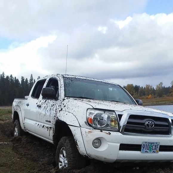 Meet your Posher, Kyle - Picture 1 of 1